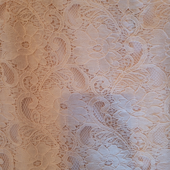 Lace Pencil Skirt - Picture 5 of 9